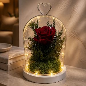 Bold Passion Dome (DPM-D1) with LED Light - Medium (12 X 16cm)