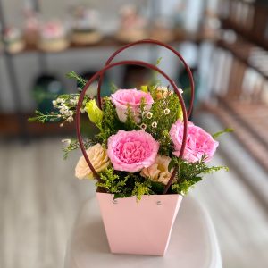 Sweet Petite Carrier Tote (PC-W1)