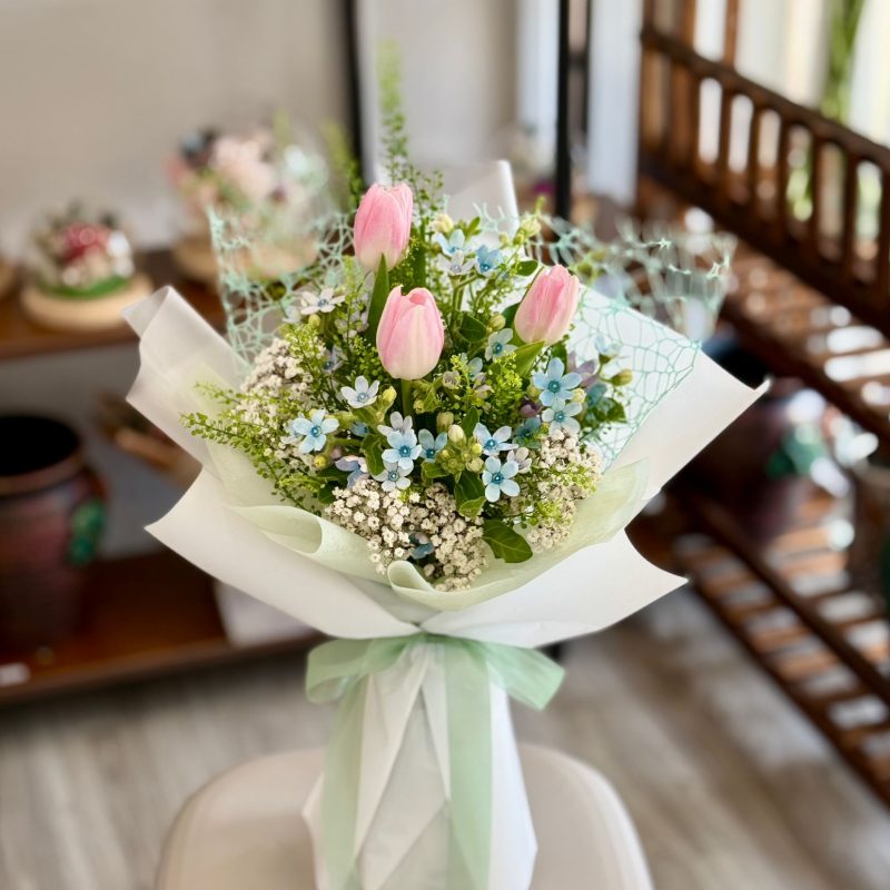 Romantic Blush Tulip